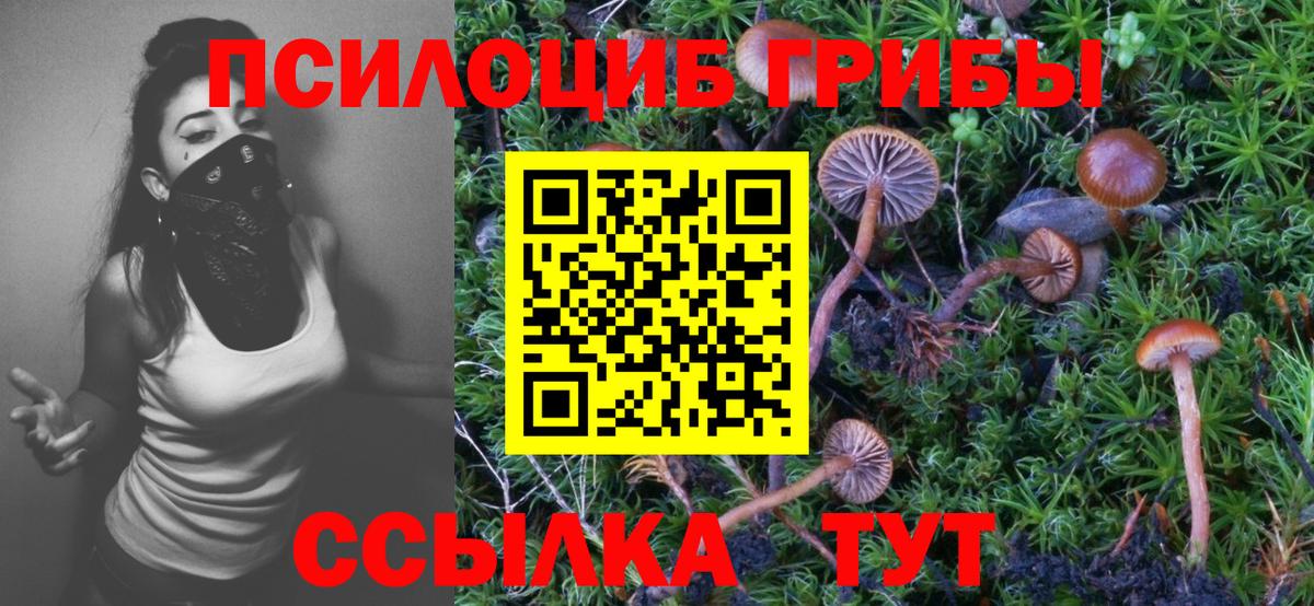 Ростов Великий  Псилоцибиновые грибы GOLDEN TEACHER  Вход с VPN  Галлюциногенные грибы прущие грибы 